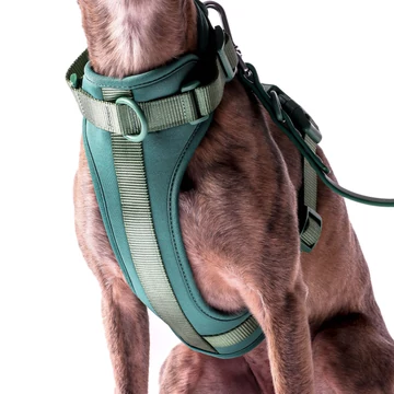 Pure Harness kutyahám szett