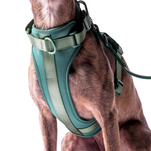 Pure Harness kutyahám szett