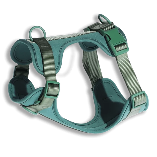 Pure Harness kutyahám