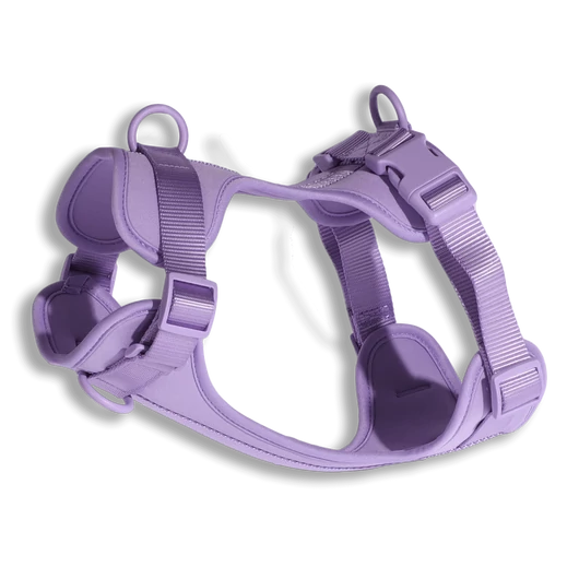 Pure Harness kutyahám
