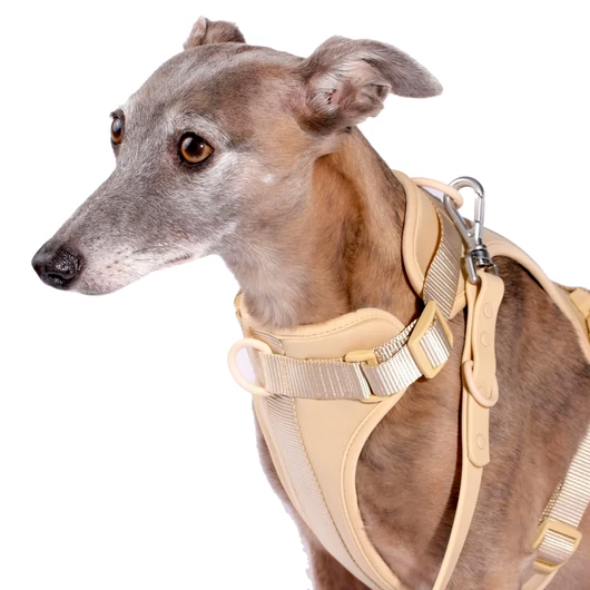 Pure Harness kutyahám szett