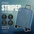 Obraz 3/9 -Striper