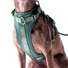 Obraz 1/7 -Pure Harness kutyahám szett