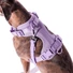 Obraz 1/6 -Pure Harness kutyahám szett